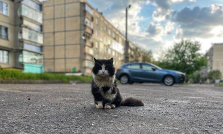 погода у Нікополі 24 квітня