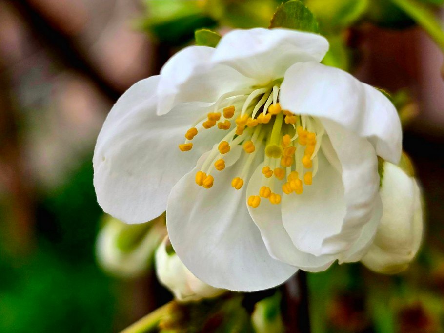 Очікуються заморозки: погода у Нікополі 8 квітня 1 погода у Нікополі 8 квітня 2