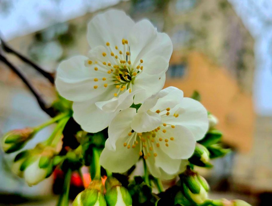 погода у Нікополі 9 квітня