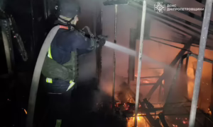 На Нікопольщині згоріла теплиця – загинули птахи