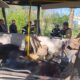 Названо імена загиблих у Марганці 23 квітня внаслідок удару ворога по автобусу: у місті тривають Дні жалоби