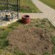 У селі біля Нікополя вже втретє вкради декоративну шовковицю і зламали лавочки
