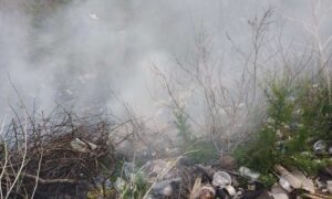 На Нікопольщині мешканці продовжують спалювати сміття, створюючи загрози навколишньому середовищу і власному здоров’ю