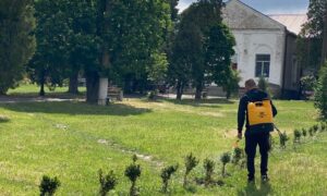 Не просто прикраса, а символ відродження: на Нікопольщині створюють зелений оазис у селі (фото)