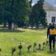 Не просто прикраса, а символ відродження: на Нікопольщині створюють зелений оазис у селі (фото)