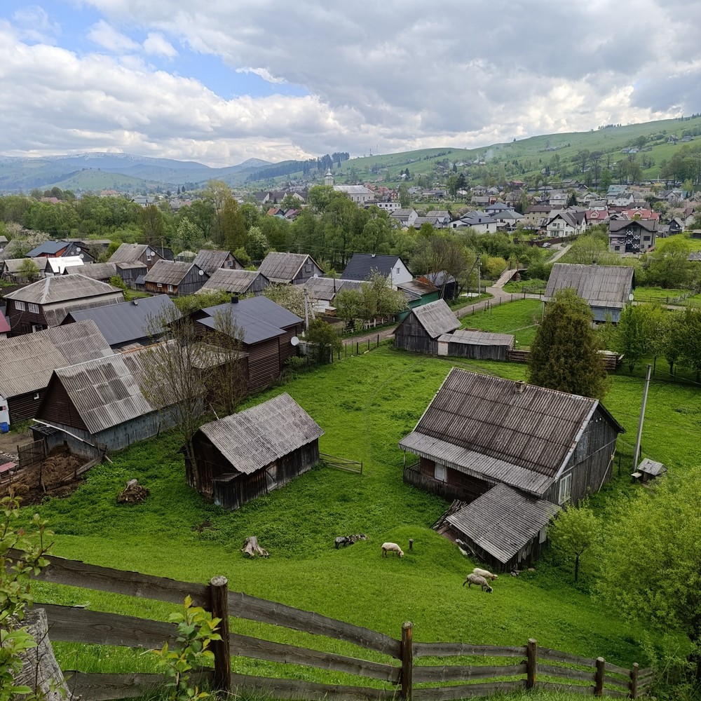 Особливі діти з Нікополя разом з мамами відпочивають на Закарпатті: фото