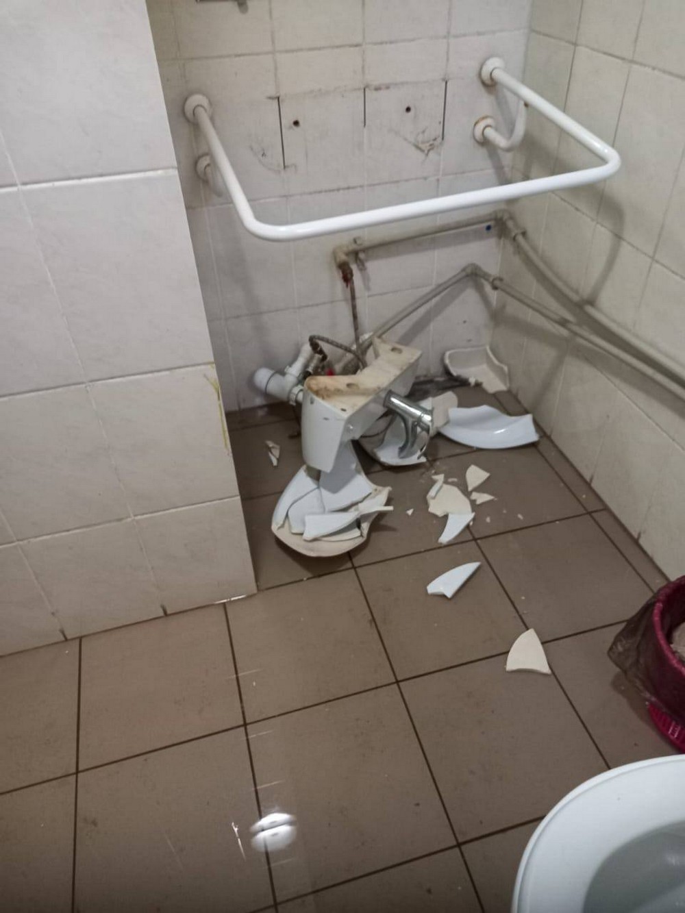 Вандали у Покрові: розтрощили туалет в центрі, обмалювали машину військовому (фото)