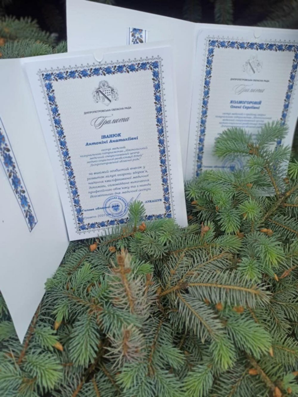 Дві медичні сестри Нікопольського реабілітаційного центру отримали подяки від обласної ради (фото) 2
