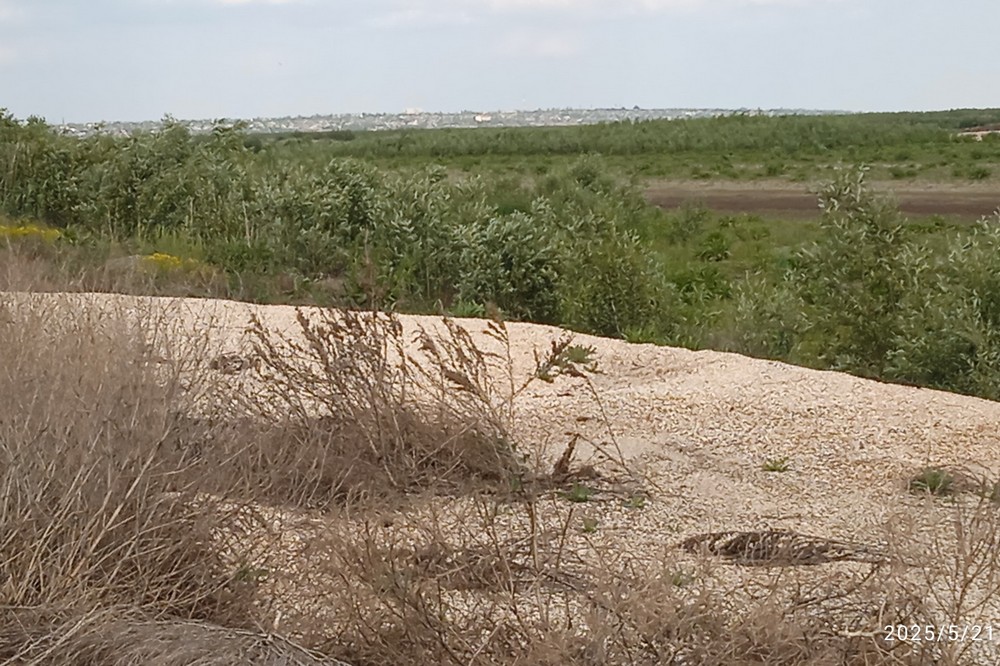 Як виглядає дно обмілілого Каховського водосховища, показав житель Нікопольщини (фото) 2