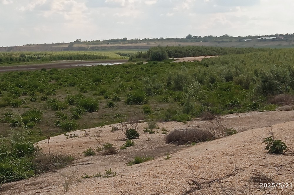 Як виглядає дно обмілілого Каховського водосховища, показав житель Нікопольщини (фото) 3