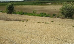 Як виглядає дно обмілілого Каховського водосховища, показав житель Нікопольщини (фото) 5