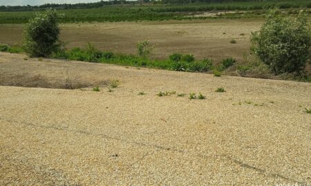Як виглядає дно обмілілого Каховського водосховища, показав житель Нікопольщини (фото) 5