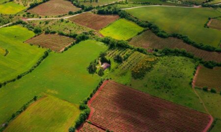 Нікопольська прокуратура попередила вибуття понад 1270 га земель комунальної та державної власності 2