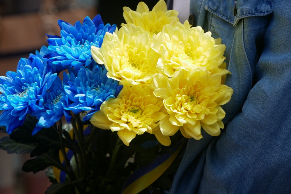 У Покрові сьогодні відкрили меморіальну дошку на честь Олексія Наумова
