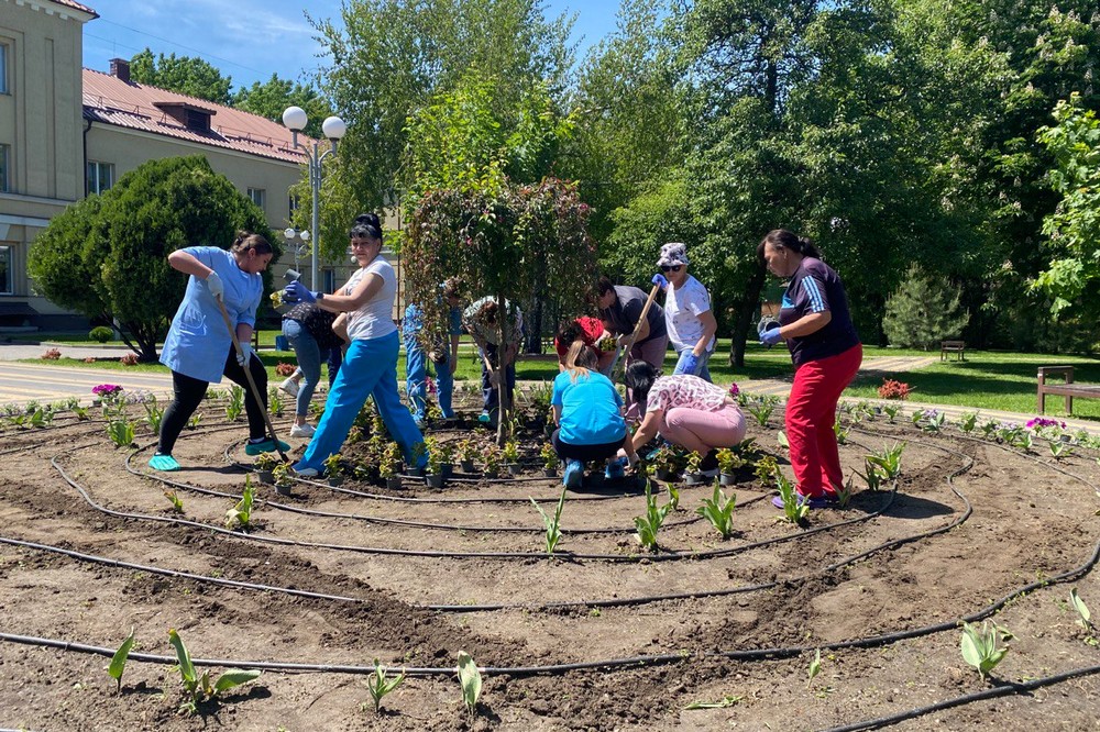 Подружжя підприємців надали дитячій лікарні Нікополя понад 700 саджанців квітів (фото) 4