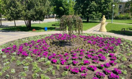 Подружжя підприємців надали дитячій лікарні Нікополя понад 700 саджанців квітів (фото) 6