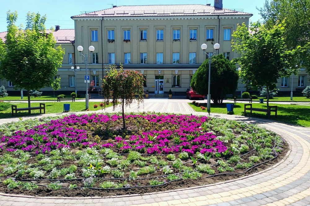 Подружжя підприємців надали дитячій лікарні Нікополя понад 700 саджанців квітів (фото) 8