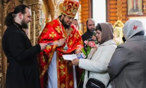 У Нікополі 2