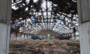 Ворог знищив склад зерна на Синельниківщині ЗМІ (фото) 7