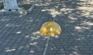 біля Нікополя 2