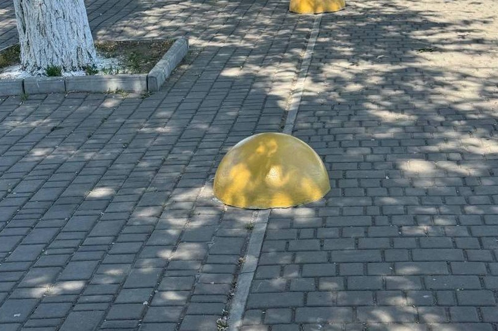 біля Нікополя 2