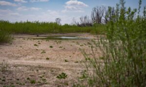 як змінюється берег Каховського водосховища 2