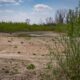 як змінюється берег Каховського водосховища 2