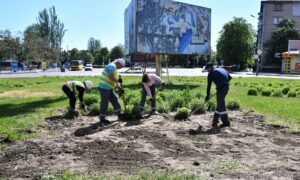 Косять траву у парку Металургів, фарбують паркани, встановлюють габіони і усувають наслідки обстрілів: про роботу комунальників Нікополя (фото)