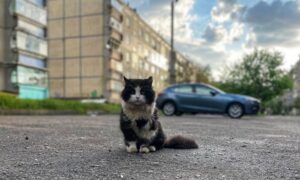 Попередили про небезпечне метеорологічне явище: погода у Нікополі 15 травня