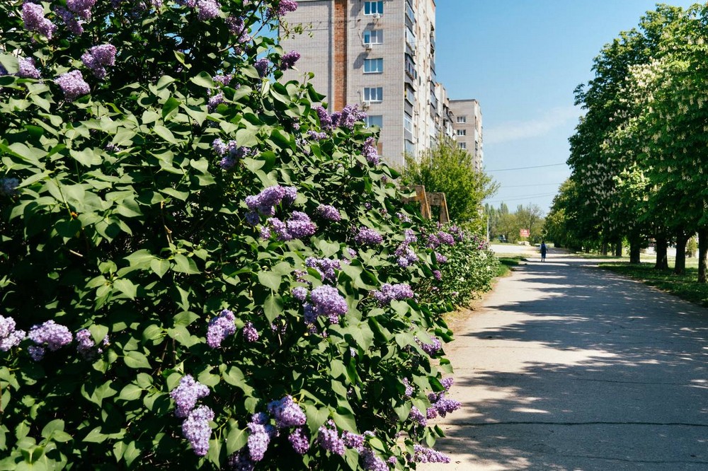 Від ранку ворог тероризує Нікопольщину: як пройшла ніч 1 травня у Нікополі, районі і області