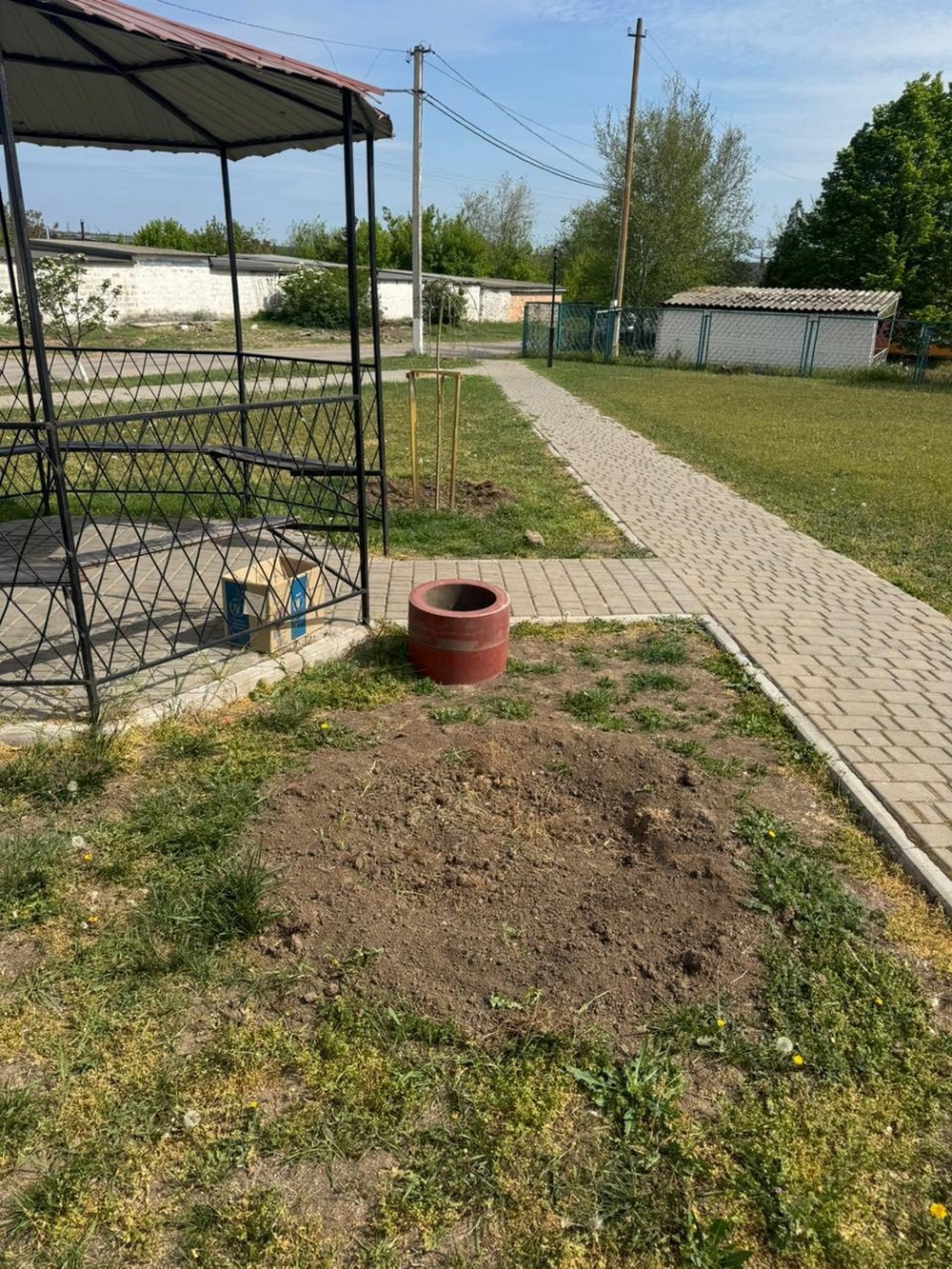 У селі біля Нікополя вже втретє вкради декоративну шовковицю
