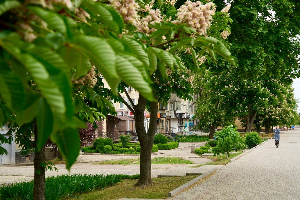Нікополь Нікополь