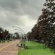 Очікується сильний дощ: погода у Нікополі 27 травня