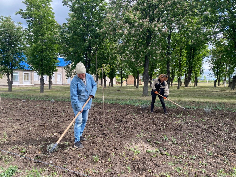 На Нікопольщині створюють зелений оазис: фото