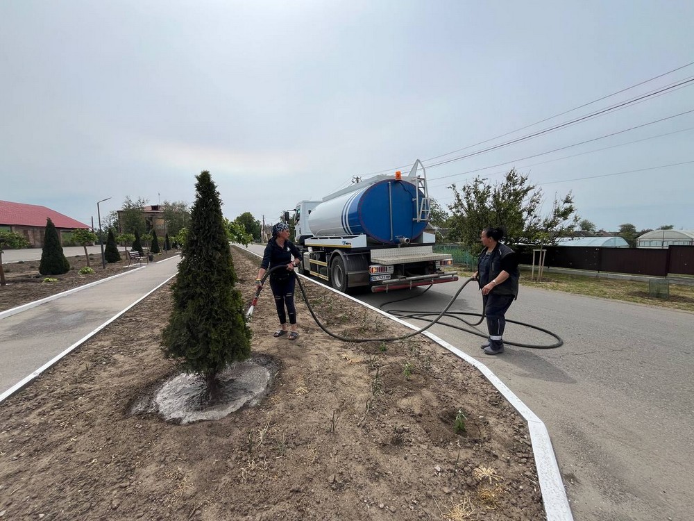  у громаді на Нікопольщині вирощують кипариси і туї