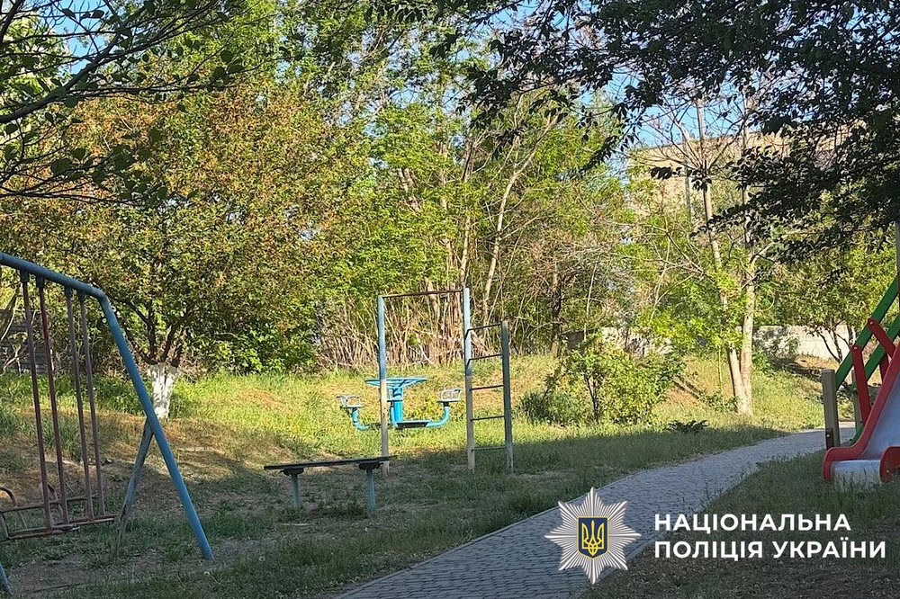 поліцейські Нікопольщини 3