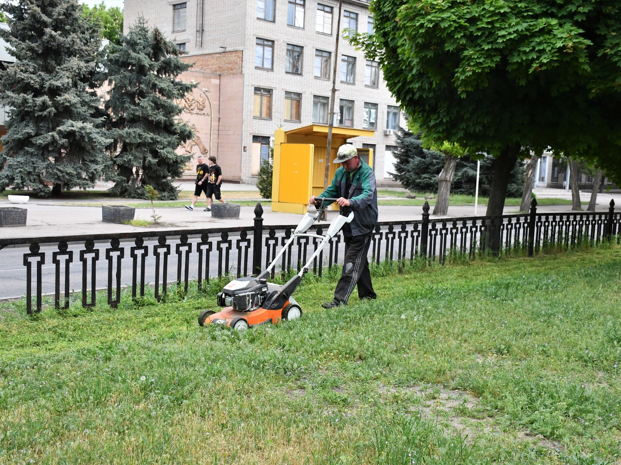 трава 3