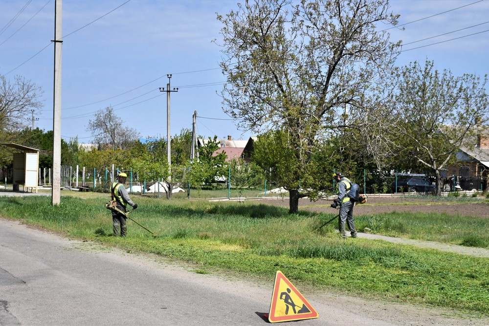 трава 3