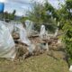 ворог атакував Нікопольщину та ще два райони області 5