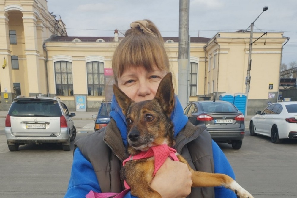 з Нікополя 2