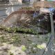 На Нікопольщині є поранений, понівечено ринок, підприємства, - ворог також гатив сьогодні по Криворіжжю і Синельниківщині (фото)