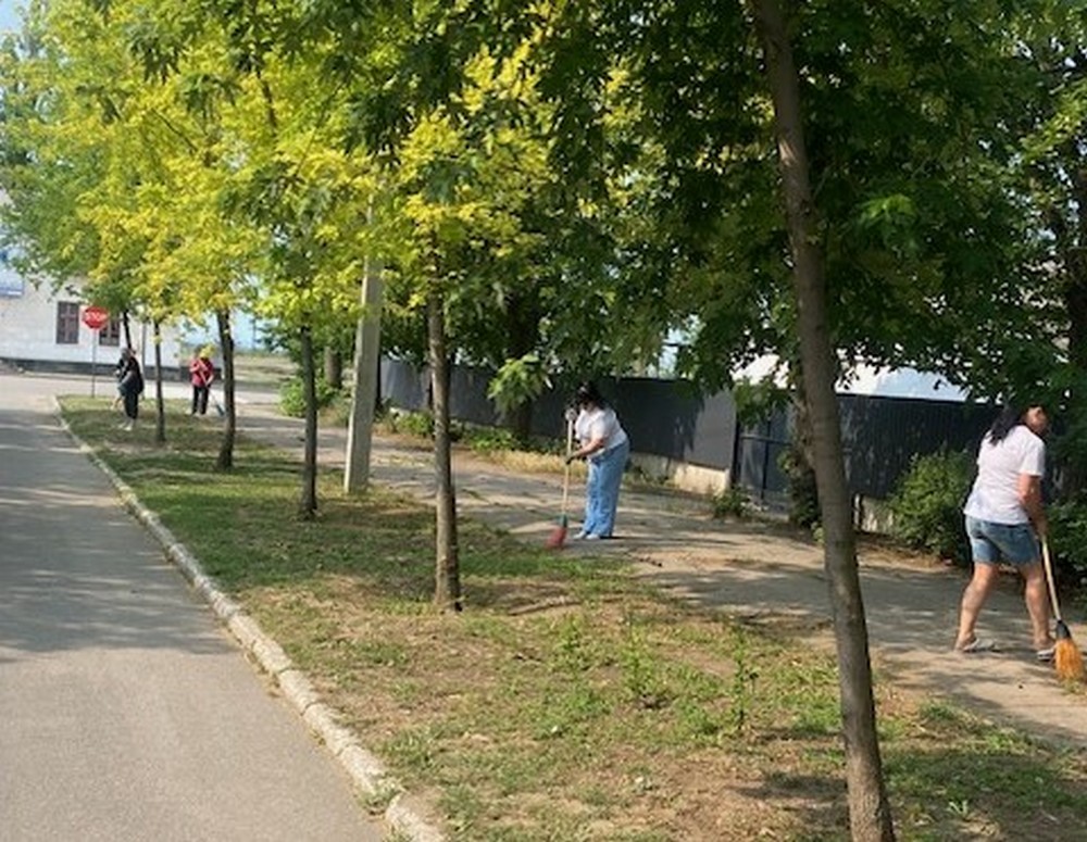 Покров долучився до акції «Чиста область. Спільна справа»: фото