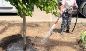 Комунальники Червоногригорівської громади 3