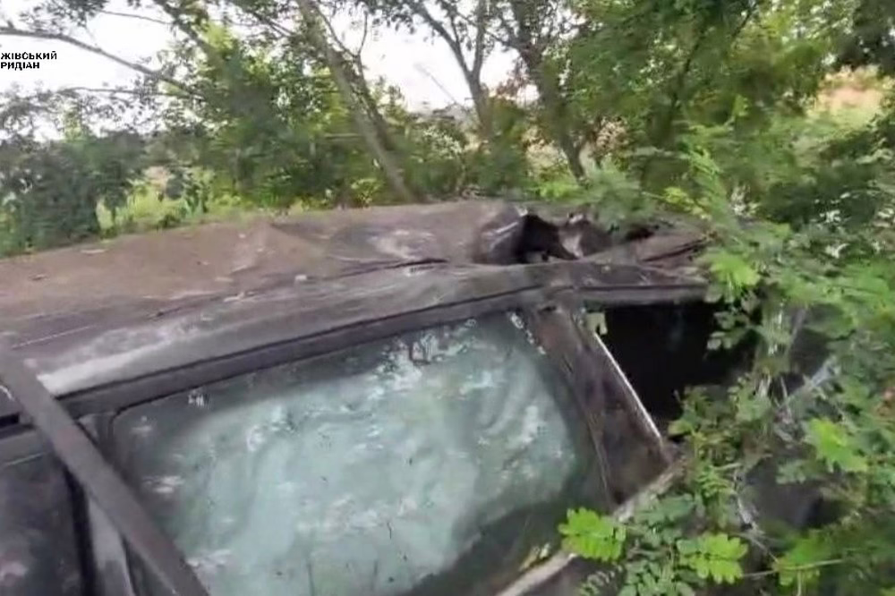 На Дніпропетровщині 2