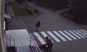 У Нікополі