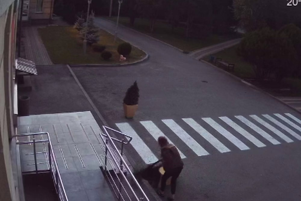 У Нікополі