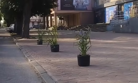 Нікопольський блогер хотів за допомогою вазонів з квітами прибрати стихійну парковку: і ось, що з цього вийшло (відео)