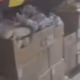 Удар по складу магазину у Нікополі: у мережі оприлюднили відео