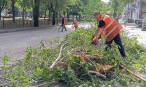 Вітер повалив дерева: у Нікополі сьогодні усувають наслідки буревію і обстрілів, а також виконують інші роботи з благоустрою (фото)