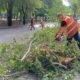 Вітер повалив дерева: у Нікополі сьогодні усувають наслідки буревію і обстрілів, а також виконують інші роботи з благоустрою (фото)